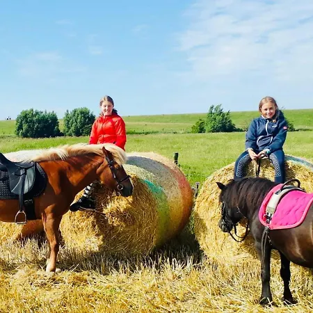 Daire Ferienbauernhof Wulff - 