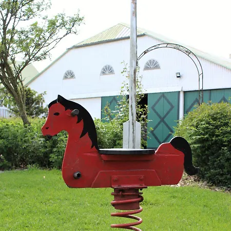 Ferienbauernhof Wulff - 