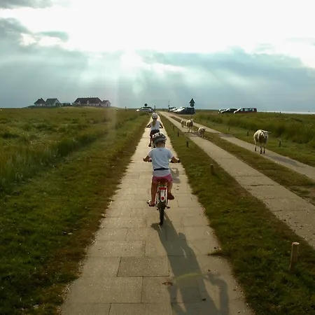 Daire Ferienbauernhof Wulff - 