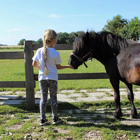 Ferienbauernhof Wulff - 