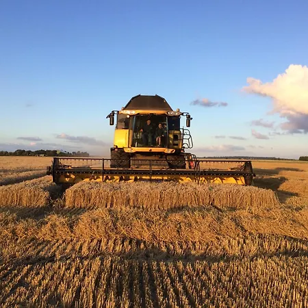 Ferienbauernhof Wulff - 