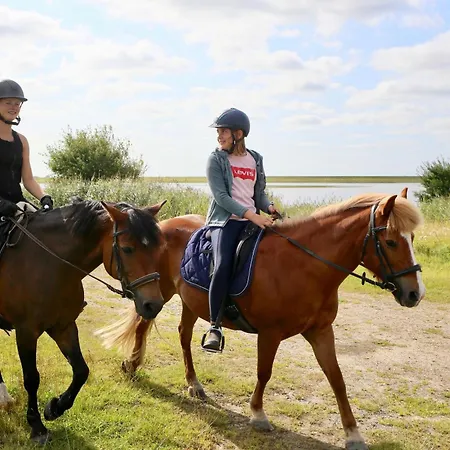 Ferienbauernhof Wulff - 