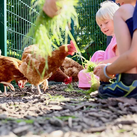Ferienbauernhof Wulff - 