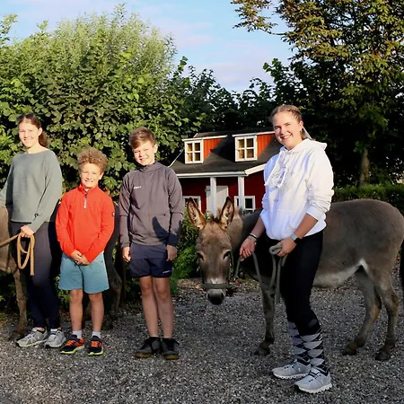 Ferienbauernhof Wulff - 