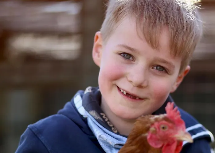 Ferienbauernhof Wulff - 