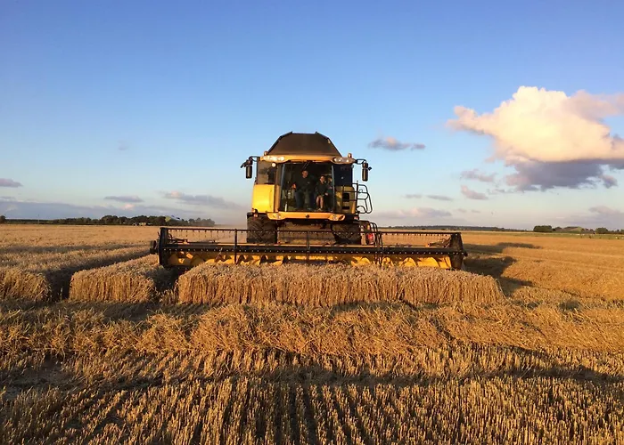 Ferienbauernhof Wulff - 