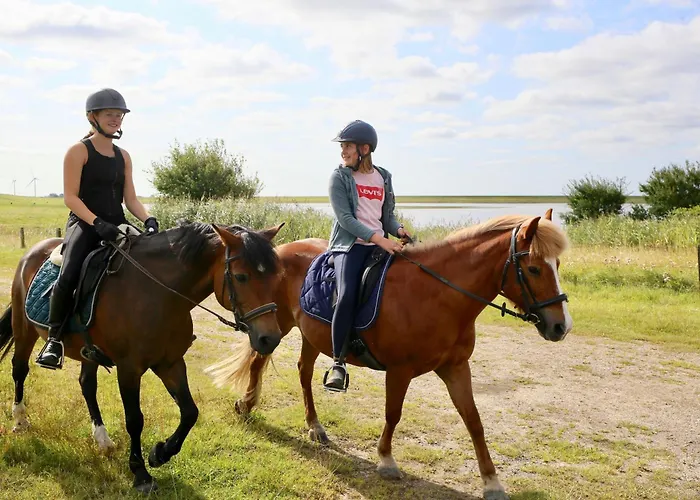 Ferienbauernhof Wulff - 